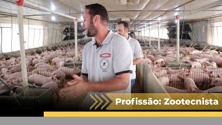 O papel do profissional zootecnista na suinocultura [upl. by Fitzpatrick]