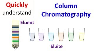 Column chromatography [upl. by Agarhs]