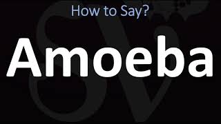 How to Pronounce Amoeba CORRECTLY [upl. by Suedaht327]