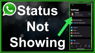 WhatsApp Status Not Showing FIXED [upl. by Algy418]