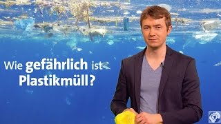 Plastik im Meer  Wie gefährlich ist Plastikmüll [upl. by Atikehs135]