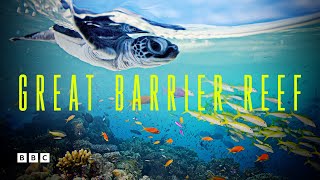 Great Barrier Reef  BBC Select [upl. by Norford733]