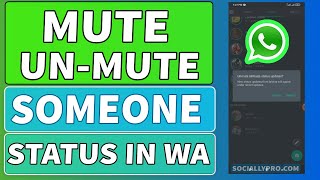 How to Mute and Unmute Someone Status Updates in WhatsApp [upl. by Katya]