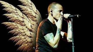 Chester Bennington A tribute [upl. by Alamap]