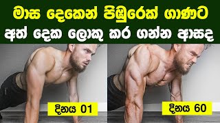 මාස දෙකෙන් පිඹුරෙක් ගාණට අත් දෙක ලොකු කරගන්න හැටි  Bigger Arms in 8 Weeks [upl. by Kristel]