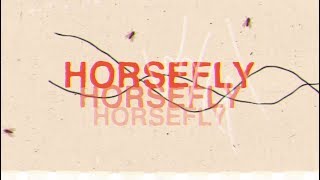 Dirty Heads  Horsefly Official Lyric Video [upl. by Nylecoj]