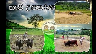 Krushi Upakarana පරිසරය පාඩම අප පරිහරණය කරන දේ කෘෂි උපකරණ Lesson 6 [upl. by Nazus835]