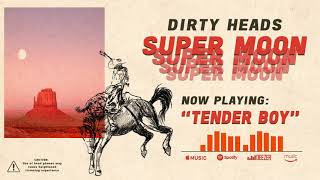 Dirty Heads  Tender Boy Official Audio [upl. by Nelrac]