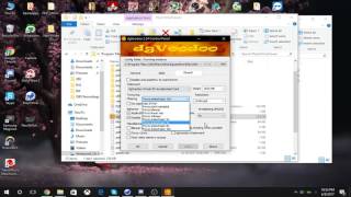 FFXI  DgVoodoo  How to setup DgVooDoo [upl. by Vullo684]