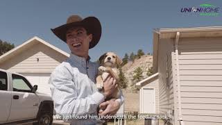 COWBOY CRIBS Presented By Union Home Mortgage Jess Lockwood [upl. by Tnarg278]