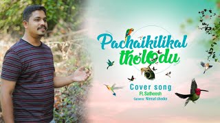 Pachai kiligal tholodu  Cover song  A R Rahman  Satheesh [upl. by Dugaid]