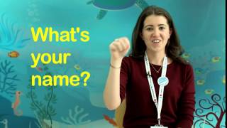 How to sign Whats your name [upl. by Bink]